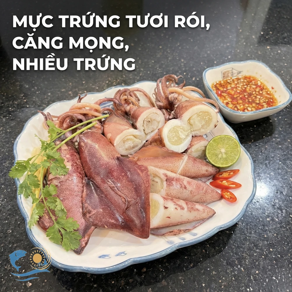 Cách chọn mực trứng tươi ngon, ôm bầu trứng 100% không bị ươn hay vỡ bụng hình 3