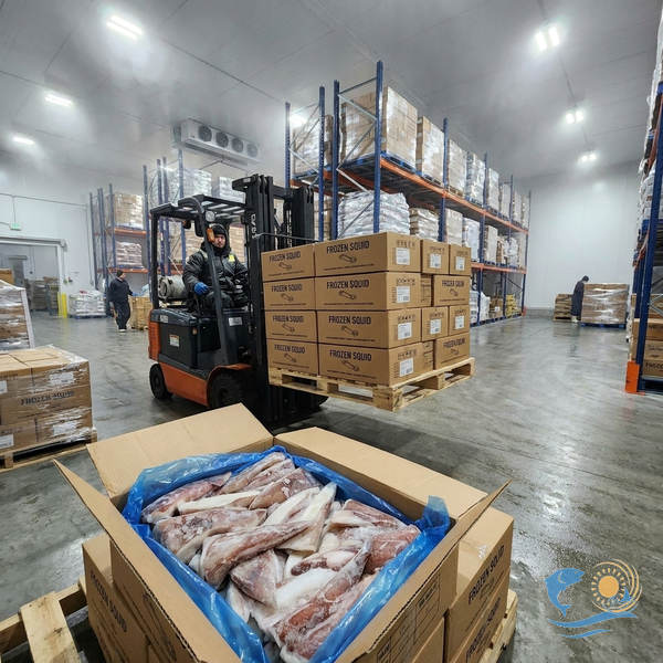Đuôi mực Peru đông lốc 20kg