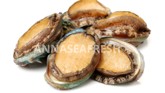Dinh dưỡng bào ngư