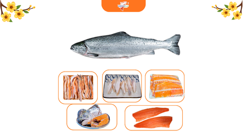 Cá hồi Na Uy nhập khẩu chính hãng Annaseafresh có gì đặc biệt?