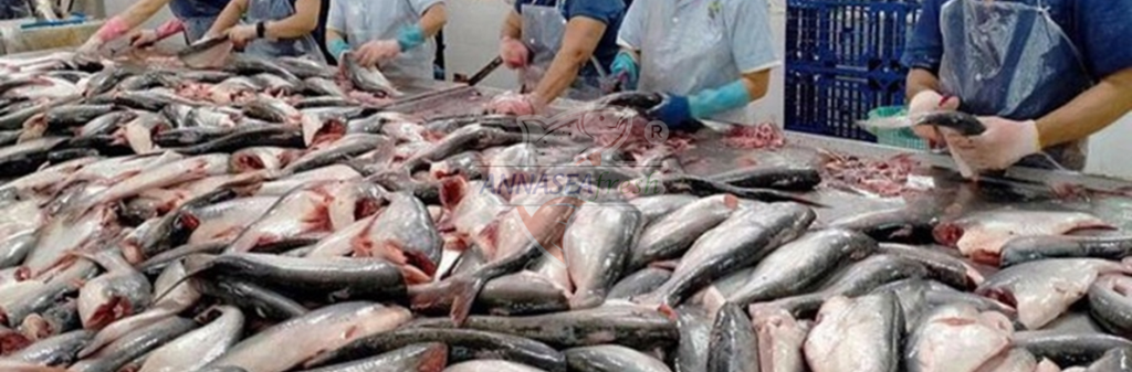 XU HƯỚNG TIÊU DÙNG HẢI SẢN SẠCH TẠI VIỆT NAM