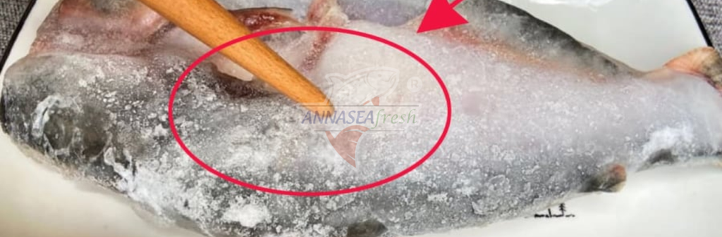 VÌ SAO HẢI SẢN BỊ TANH NẶNG SAU KHI RÃ ĐÔNG?