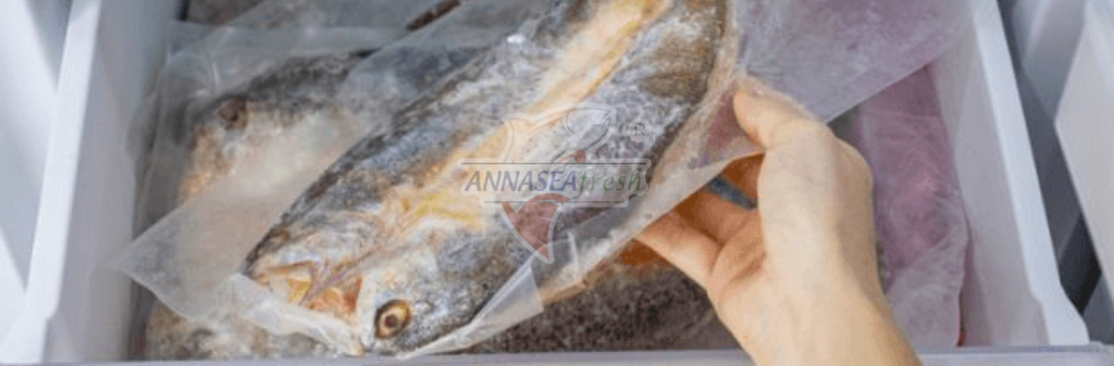 NHỮNG SAI LÀM PHỔ BIẾN KHI BẢO QUẢN HẢI SẢN TẠI NHÀ