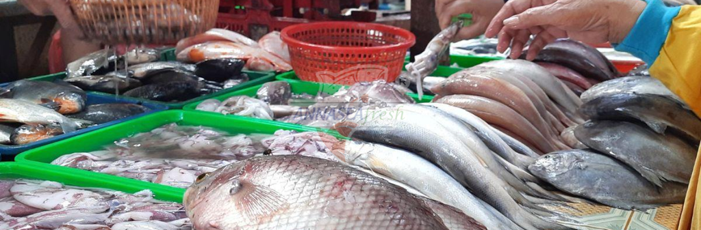 NGƯỜI TIÊU DÙNG NÊN QUAN TÂM ĐIỀU GÌ KHI MUA HẢI SẢN?