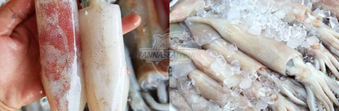 CÁCH XỬ LÝ MỰC ĐÔNG LẠN TRƯỚC KHI NẤU