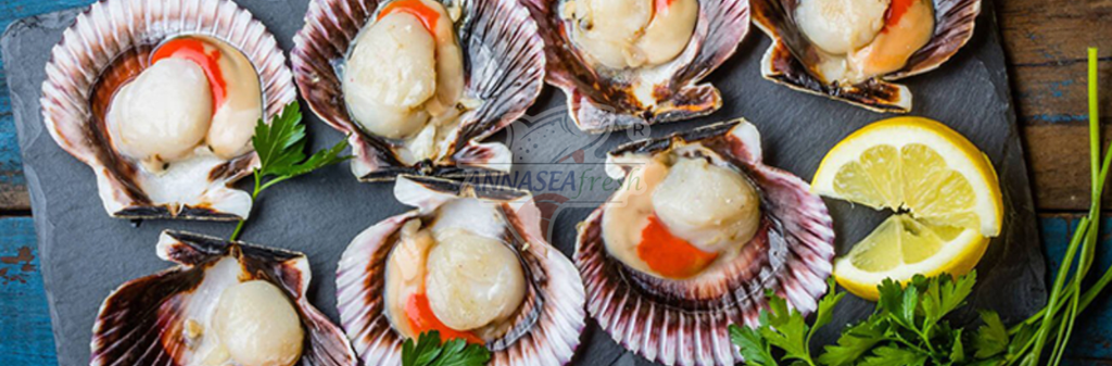 GỢI Ý 7 CÁCH CHÉ BIẾN CHUẨN VỊ VỚI SÒ ĐIỆP NHẬT