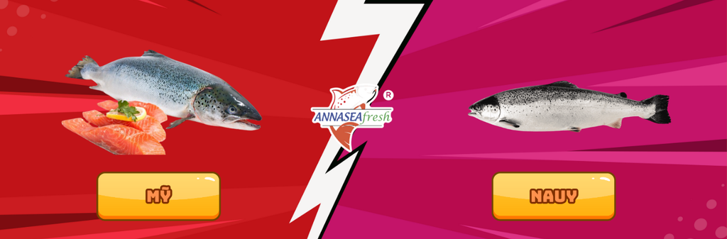 Cá Hồi Nauy, Cá Hồi Mỹ – Nên Chọn Loại Cá Nào?
