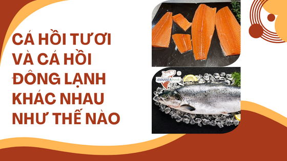 Cá hồi tươi và cá hồi đông lạnh khác nhau thế nào?