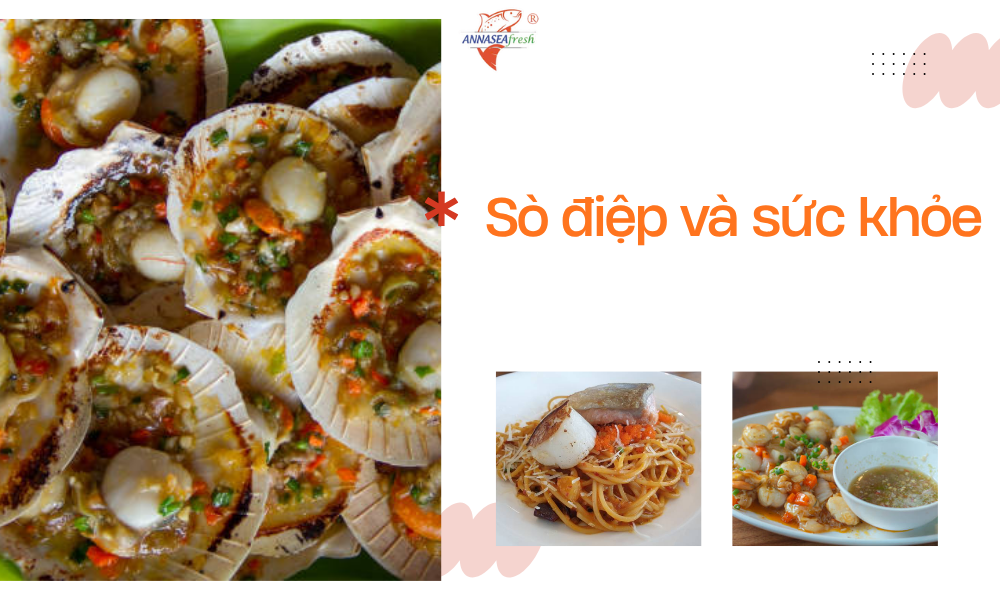 Sò điệp và sức khỏe