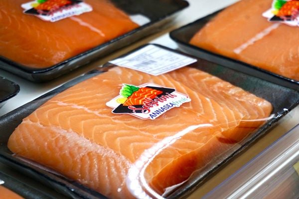 ca-hoi-phi-le-nguyen-mieng-1