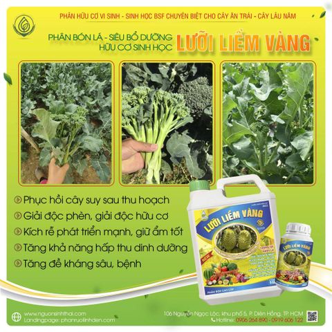 Phân Bón Lá Hữu Cơ Sinh Học Lưỡi Liềm Vàng – Giải Pháp Phục Hồi Nhanh Cho Cây Trồng Sau Thu Hoạch
