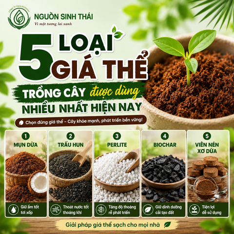 5 Loại Giá Thể Trồng Cây Được Dùng Nhiều Nhất Hiện Nay