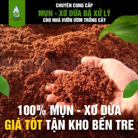 ECOSYNC - NGUỒN CUNG MỤN DỪA & CHỈ XƠ DỪA THÔ SỐ LƯỢNG LỚN