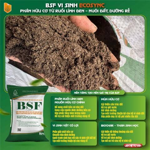 Sự khác biệt vượt trội của Phân BSF - ECOSYNC so với Phân chuồng truyền thống | Góc nhìn Khoa học về tái tạo đất