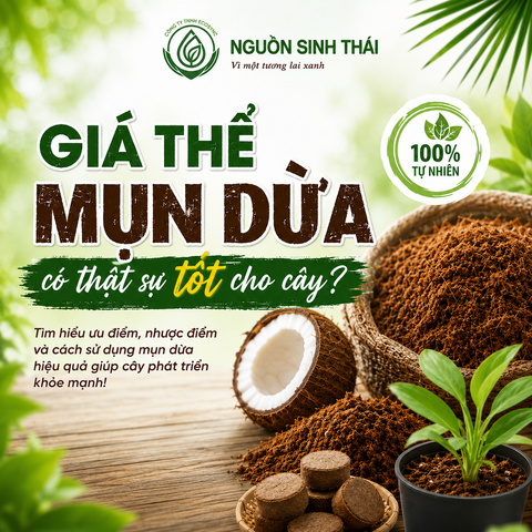 Giá Thể Mụn Dừa Có Thật Sự Tốt Cho Cây?