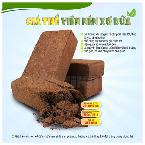 Viên Nén Xơ Dừa Chưa Xử Lý: Đặc Điểm, Lưu Ý Khi Dùng Và Có Nên Mua Không?