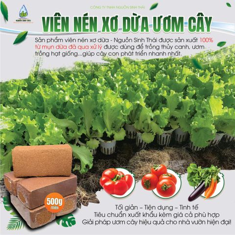 Viên Nén Đã Xử Lý Là Gì? Công Dụng, Ưu Điểm Và Cách Sử Dụng Đúng Chuẩn Cho Người Trồng Cây