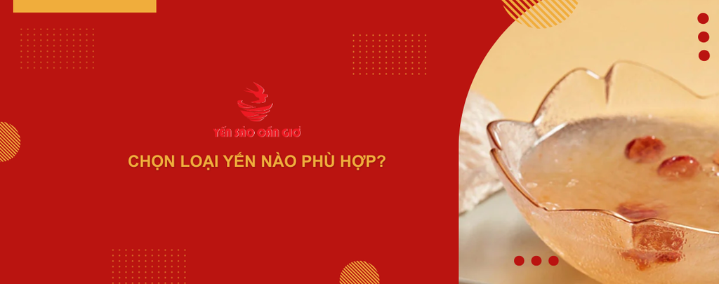 Chọn loại yến nào phù hợp?