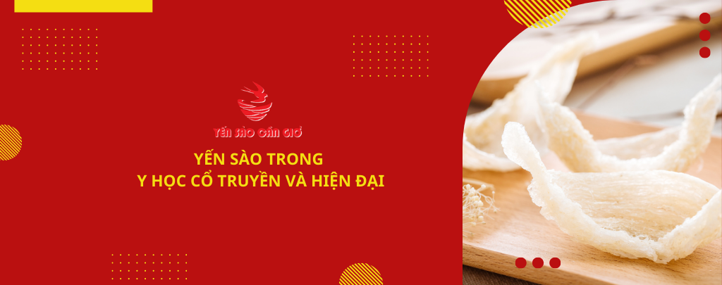 Yến sào trong y học cổ truyền và hiện đại