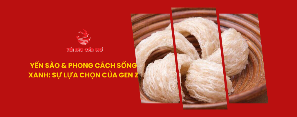 Yến sào và phong cách sống xanh: Sự lựa chọn của Gen Z