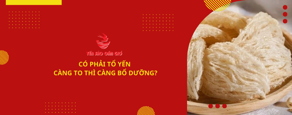 Có phải tổ yến càng to thì càng bổ dưỡng?