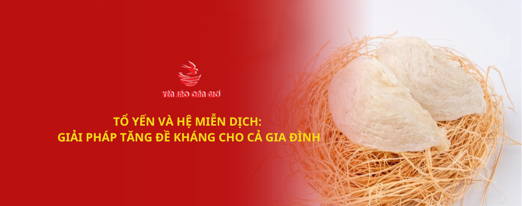 Tổ yến: Giải pháp tự nhiên tăng đề kháng cho cả gia đình