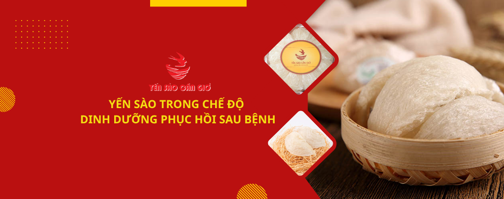 YẾN SÀO TRONG CHẾ ĐỘ DINH DƯỠNG PHỤC HỒI SAU BỆNH