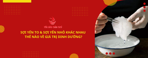 SỢI YẾN TO & SỢI YẾN NHỎ KHÁC NHAU THẾ NÀO VỀ GIÁ TRỊ DINH DƯỠNG?