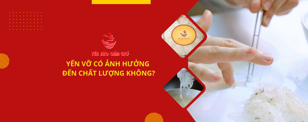 YẾN VỠ CÓ ẢNH HƯỞNG ĐẾN CHẤT LƯỢNG KHÔNG?