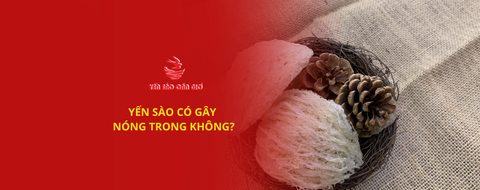 YẾN SÀO CÓ GÂY NÓNG TRONG KHÔNG?