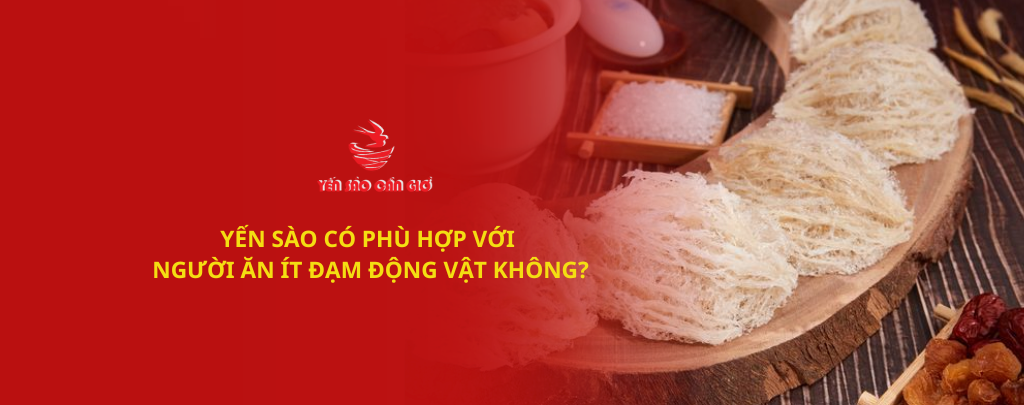 YẾN SÀO CÓ PHÙ HỢP VỚI NGƯỜI ĂN ÍT ĐẠM ĐỘNG VẬT KHÔNG?