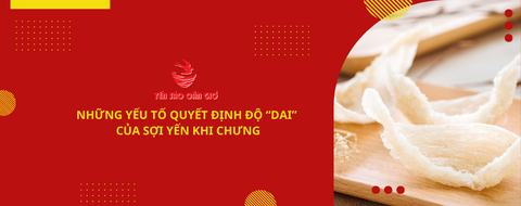 Những yếu tố quyết định độ “dai” của sợi yến khi chưng