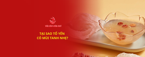 Tại sao tổ yến có mùi tanh nhẹ?