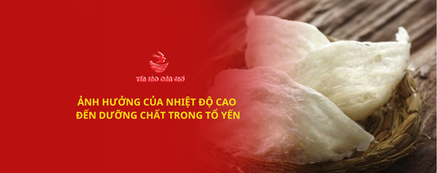 Ảnh hưởng của nhiệt độ cao đến dưỡng chất trong tổ yến