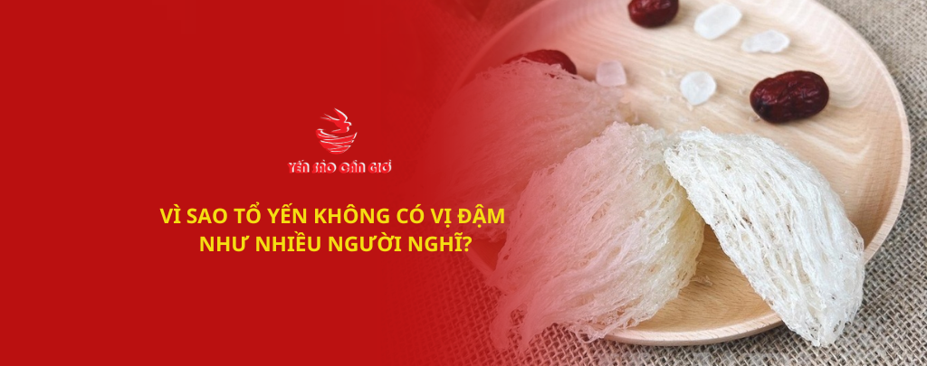 Vì Sao Tổ Yến Không Có Vị Đậm Như Nhiều Người Nghĩ?