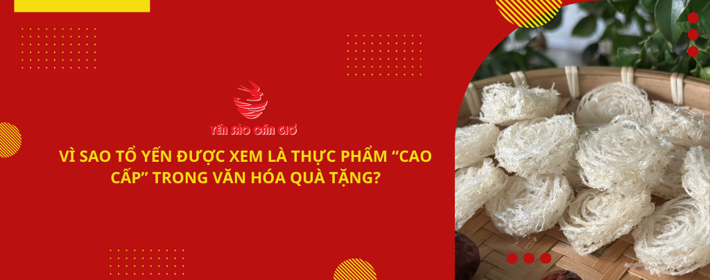 Vì Sao Tổ Yến Được Xem Là Thực Phẩm “Cao Cấp” Trong Văn Hóa Quà Tặng?