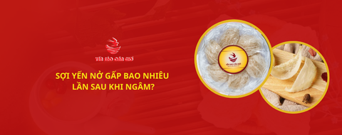 Sợi yến nở gấp bao nhiêu lần sau khi ngâm?