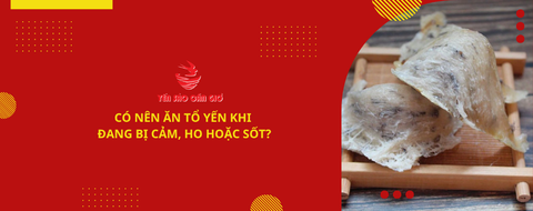 Có nên ăn tổ yến khi đang bị cảm, ho hoặc sốt?