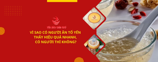 Vì sao có người ăn tổ yến thấy hiệu quả nhanh, có người thì không?