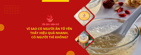 Vì sao có người ăn tổ yến thấy hiệu quả nhanh, có người thì không?