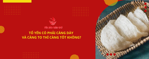 Tổ yến có phải càng dày và càng to thì càng tốt không?