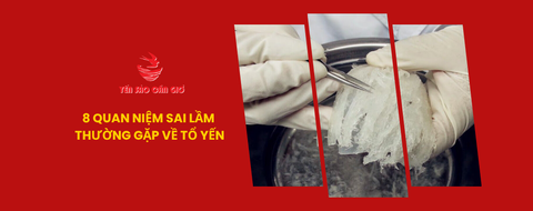 8 quan niệm sai lầm thường gặp về tổ yến