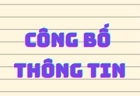 Công Bố Thông Tin Nghị Quyết Hội Đồng Quản Trị Về Việc Tái Bổ Nhiệm Giám Đốc Công Ty