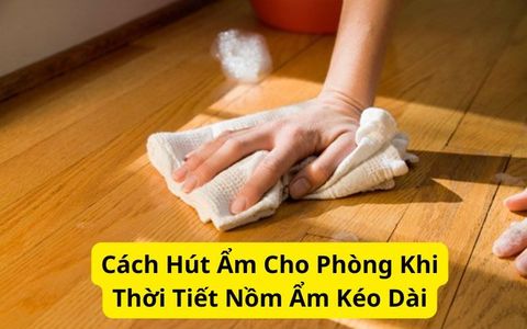 Cách Hút Ẩm Cho Phòng Khi Thời Tiết Nồm Ẩm Kéo Dài