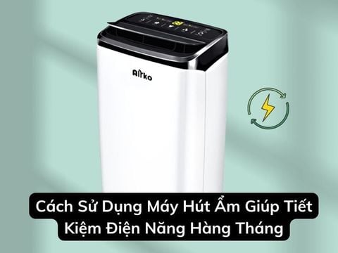 Cách Sử Dụng Máy Hút Ẩm Giúp Tiết Kiệm Điện Năng Hàng Tháng