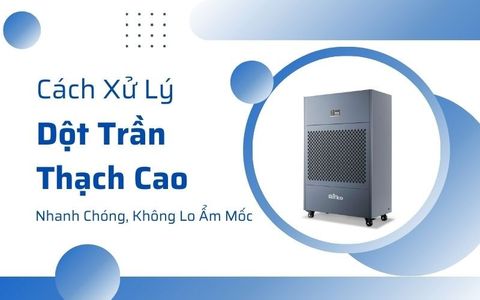Cách Xử Lý Dột Trần Thạch Cao Nhanh Chóng, Không Lo Ẩm Mốc
