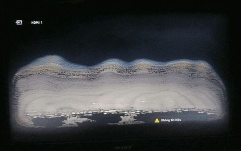 Màn Hình LCD Bị Mốc Bên Trong Phải Làm Sao? Hướng Dẫn Xử Lý