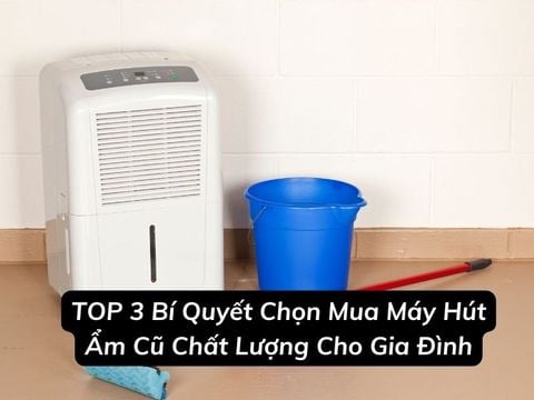 TOP 3 Bí Quyết Chọn Mua Máy Hút Ẩm Cũ Chất Lượng Cho Gia Đình