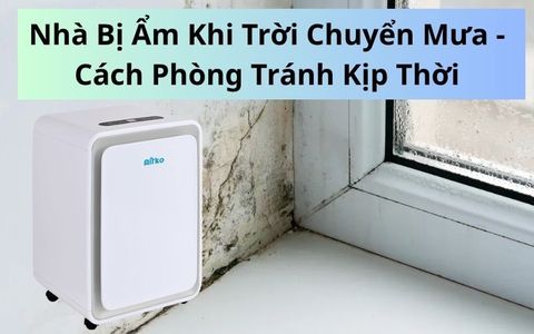 Nhà Bị Ẩm Khi Trời Chuyển Mưa - Cách Phòng Tránh Kịp Thời