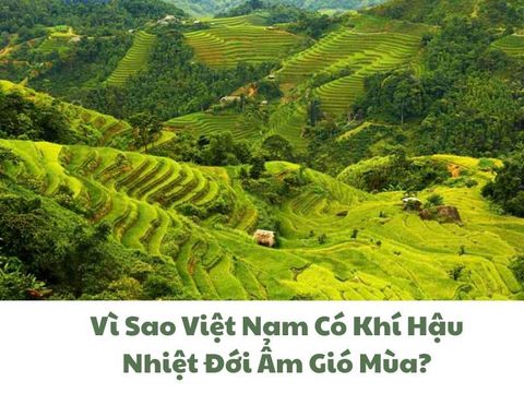 Vì Sao Việt Nam Có Khí Hậu Nhiệt Đới Ẩm Gió Mùa?